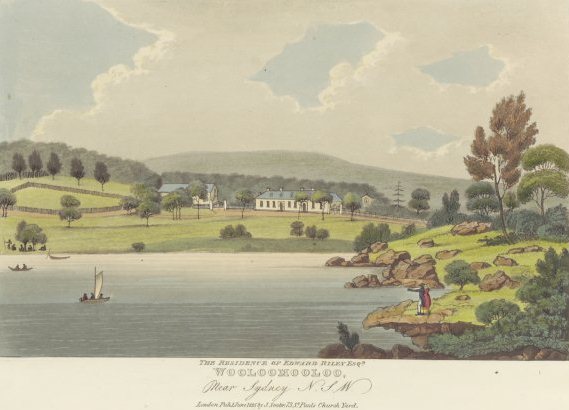 Wooloomooloo by Joseph Lycett, courtesy of the National Library of Australia 